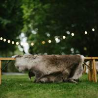 Bench with a Reindeer Skin lying across it sits on green grass, festoon lighting hangs above it