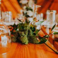 Moss and green foliage decorate a wooden table