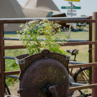 A vintage metal box stand on legs is used as a plantpot, metal fencing is behind with a vintage bike behind it