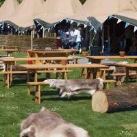 A six tipi festival fair set up with picnic benches and reindeer skins on logs sitting in front on the green